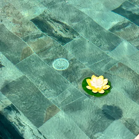 Zinga - Piscine, Jardin & Calme Absolu * Béziers